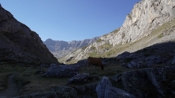 Dans la Vallée d\'Estaubé