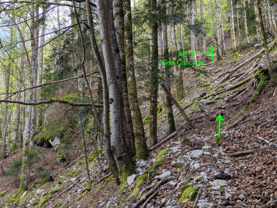 Dans le bas de la montée raide quittant les gorges