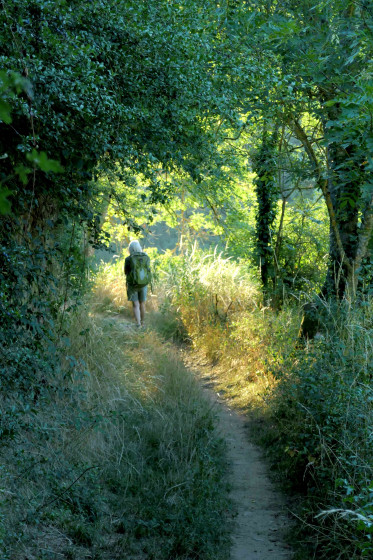 Dans le bois de la Dame