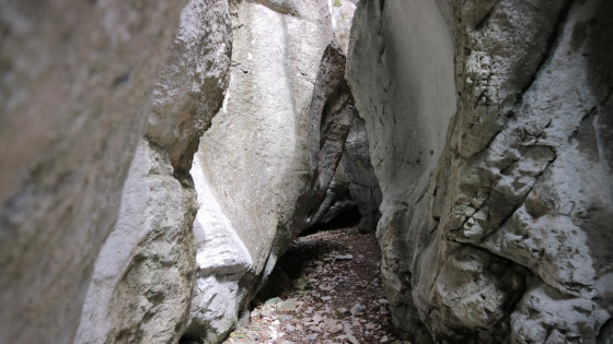 Dans le canyon