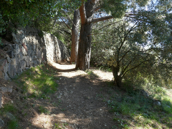 Sur le chemin du Paradis