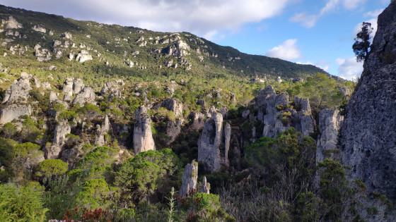 Dans le cirque, les roches