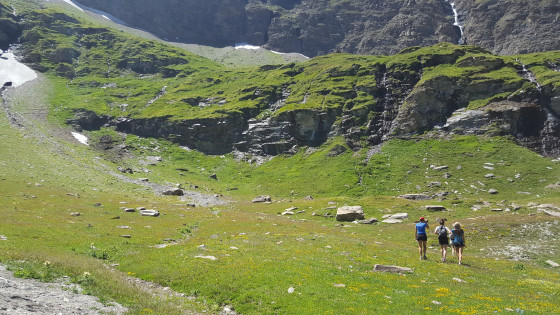 Dans le cirque