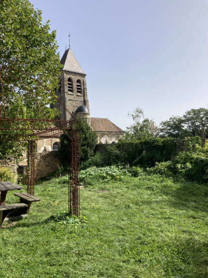 Dans le jardin/potager