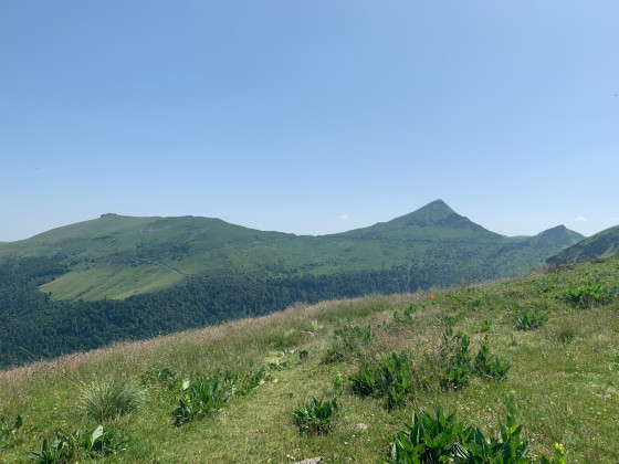 Dans le lointain…