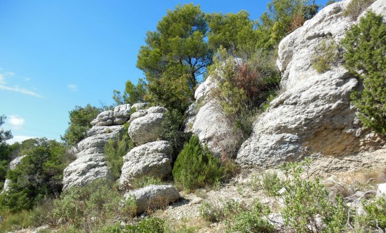 Dans le massif calcaire du Siou Blanc