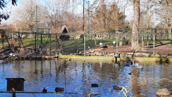 Dans le parc de l\'Eiblen