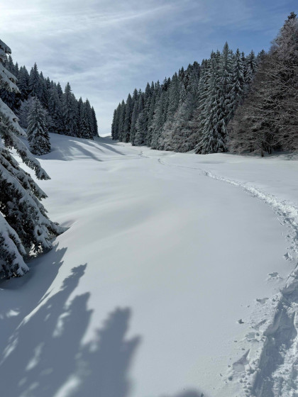 dans le rétro, la descente du Col