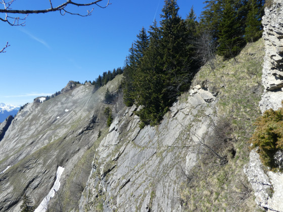 Dans le rétro