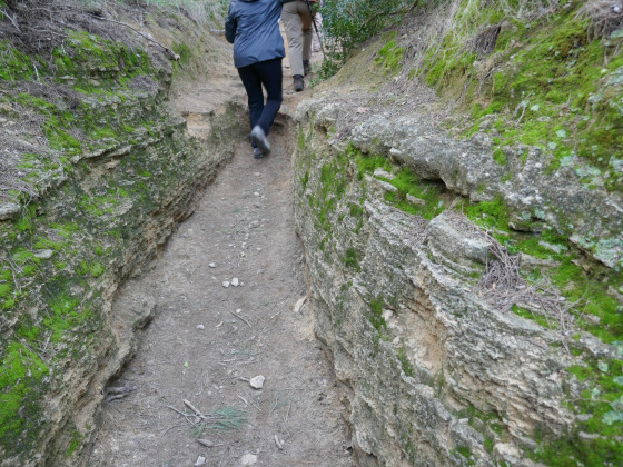 Dans le sentier de Roumagnan Dans le sentier de Roumagnan