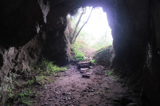 Dans le tunnel