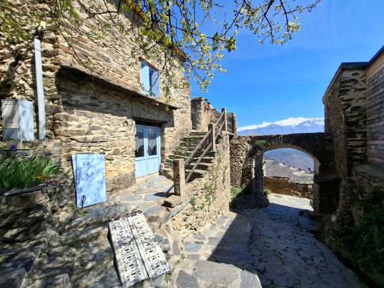 dans le village