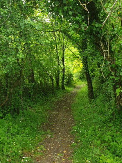 Dans les bois...