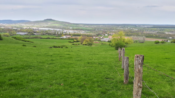 Dans les champs en sortant du bois communal de Bl&eacute;nod.