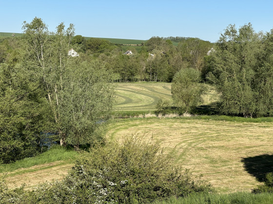 Dans les champs