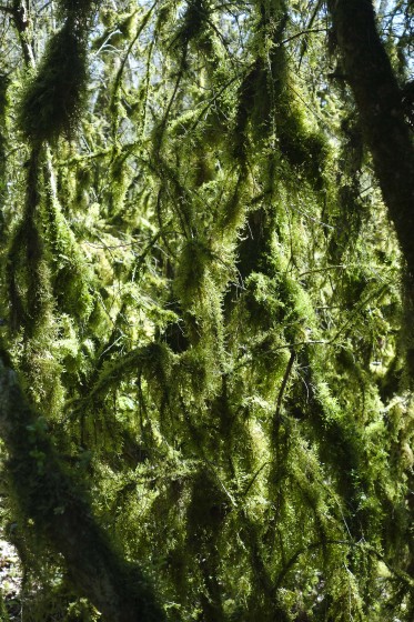 Dans les gorges de Verbois