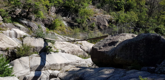 Dans les gorges
