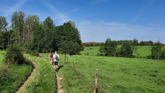 Dans les prés.