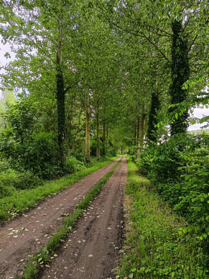 Ancienne voie ferrée Marle Montcornet (souvent appelée la ligne M.M.)