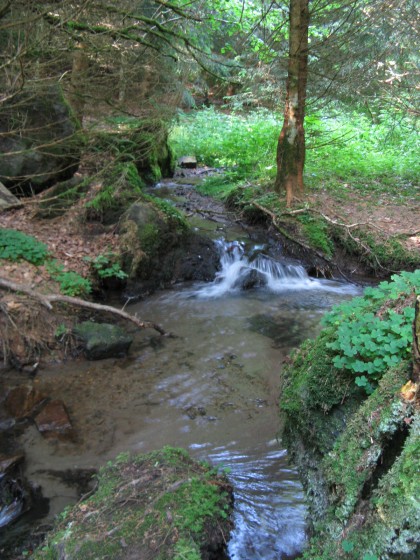 De Besse au lac Pavin