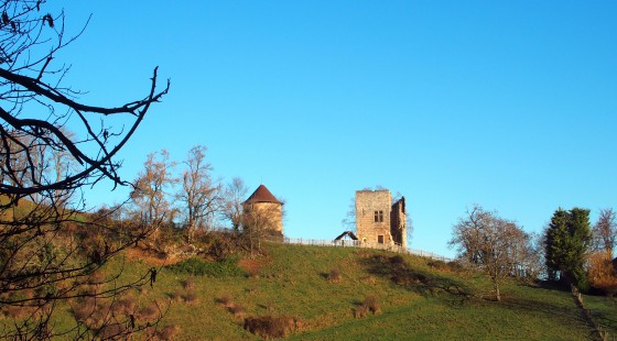 De Gillonnay au château de Bocsozel