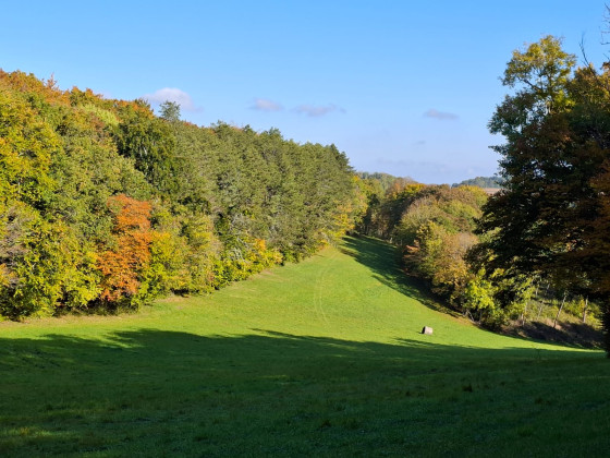 Sur les chemins de Grenant