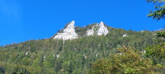 De jolies Aiguilles