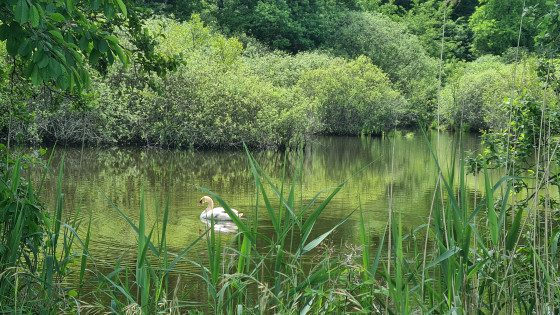 De l'autre côté du chemin de halage qui longe le canal