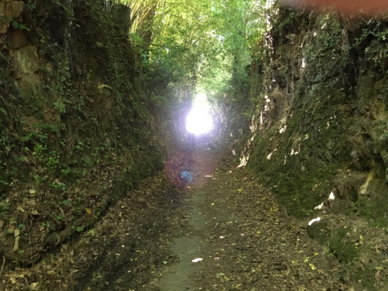 De l'ombre à la lumière