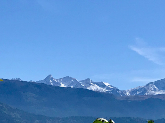 De la route forestière