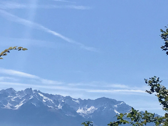 De la Route Forestière