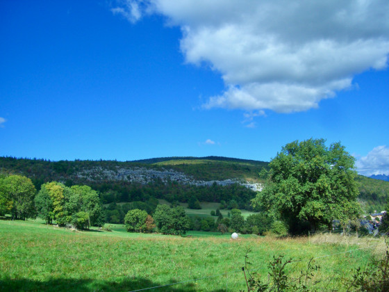de Montagny