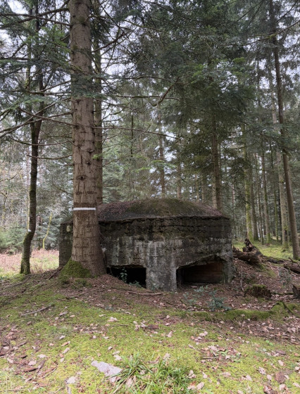 De nombreux bunkers se trouve sur le chemin