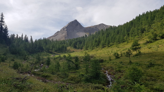Début d\'ascension du col de l\'Eychauda