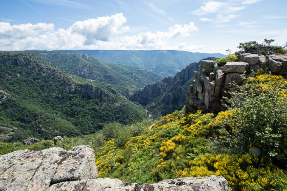 Début de la descente dans les gorges