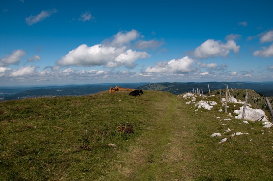 Début de la descente de la Dôle