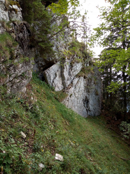 Début de la descente