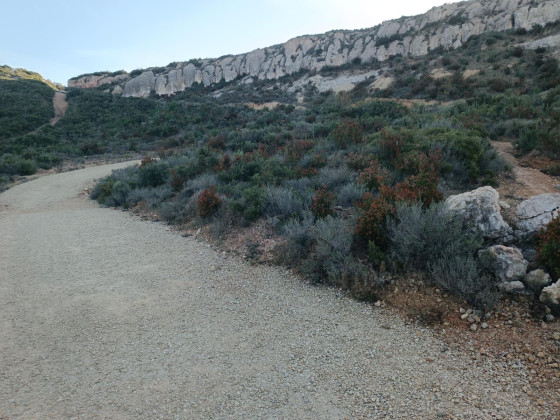 D&eacute;but de la mont&eacute;e pour acc&eacute;der au plateau de Vitrolles