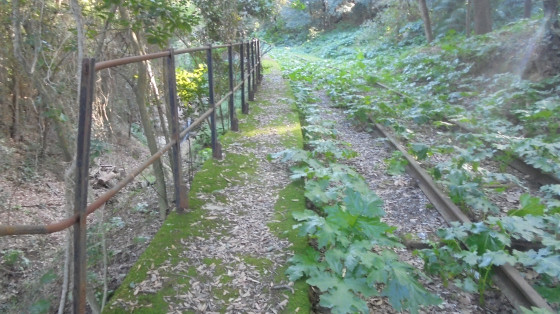 Début de la montée.
