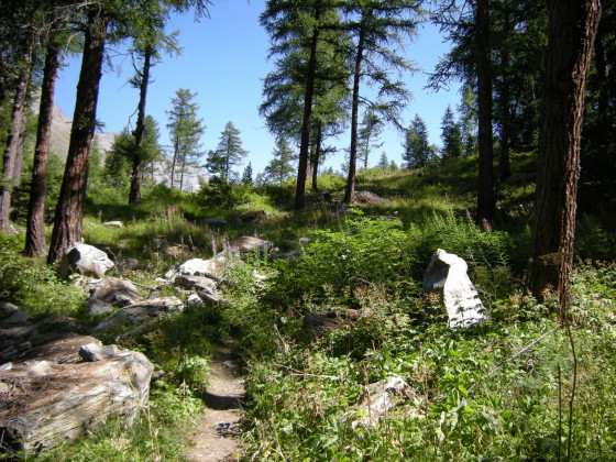 Début de la montée
