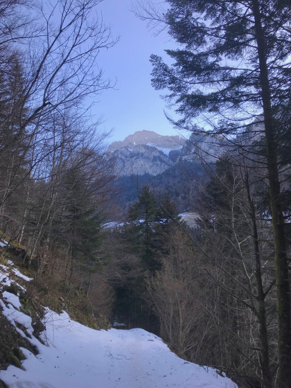 Début de la montée