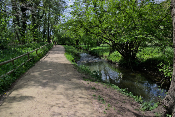 Début de la promenade