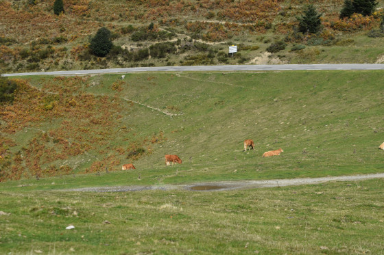 début de montée
