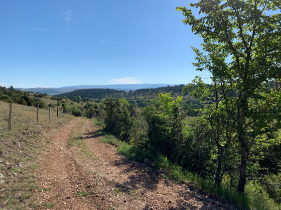 Début de promenade. En se retournant vue sur le causse sauveterre au loin