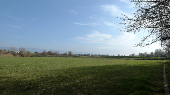 Début de promenade
