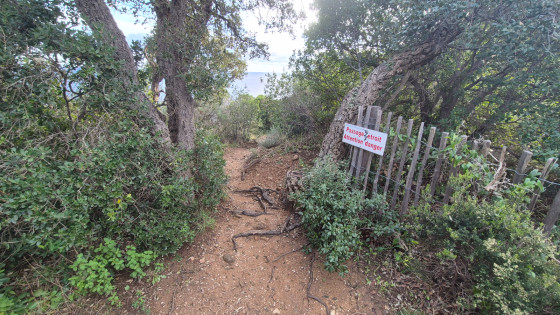 D&eacute;but descente vers point 5