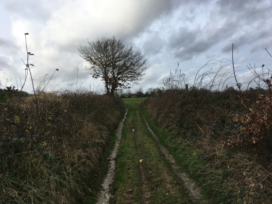 Début du chemin à travers champs