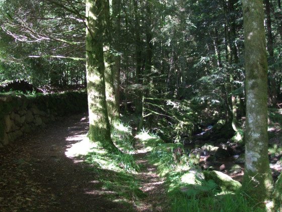 Début du sentier l\'If