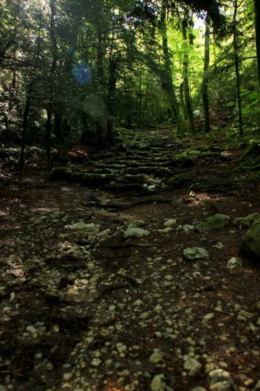 Début du sentier sous les bois