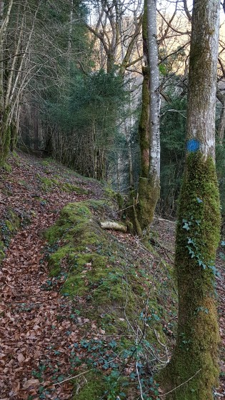 Début du sentier sur Serrat dets Castets